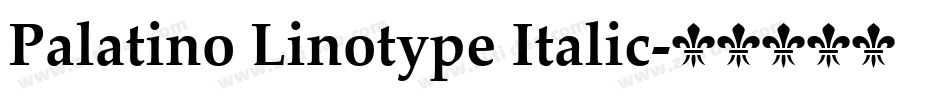 Palatino Linotype Italic字体转换